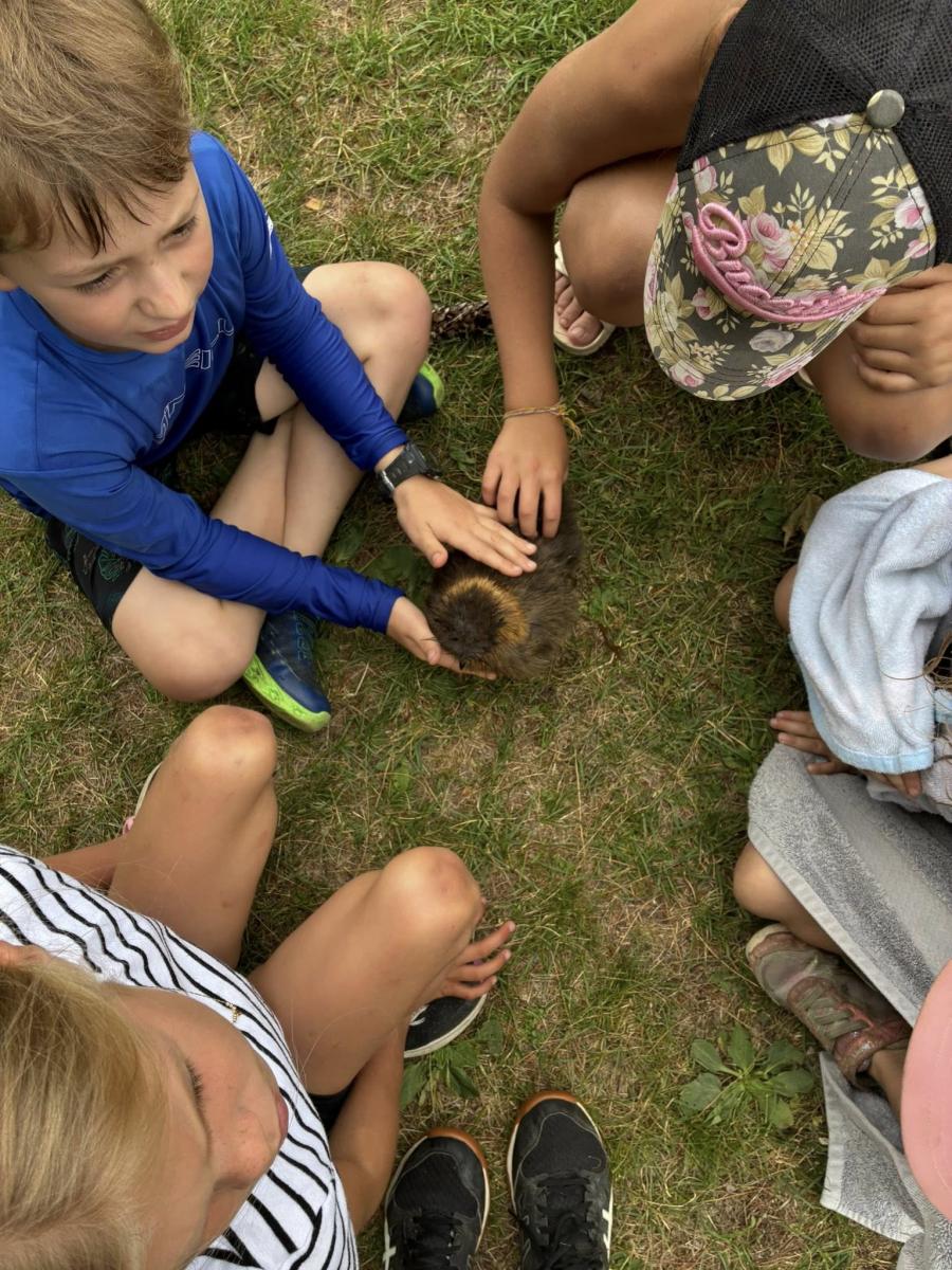 516601356 1307271810799587 8567389057425699259 n