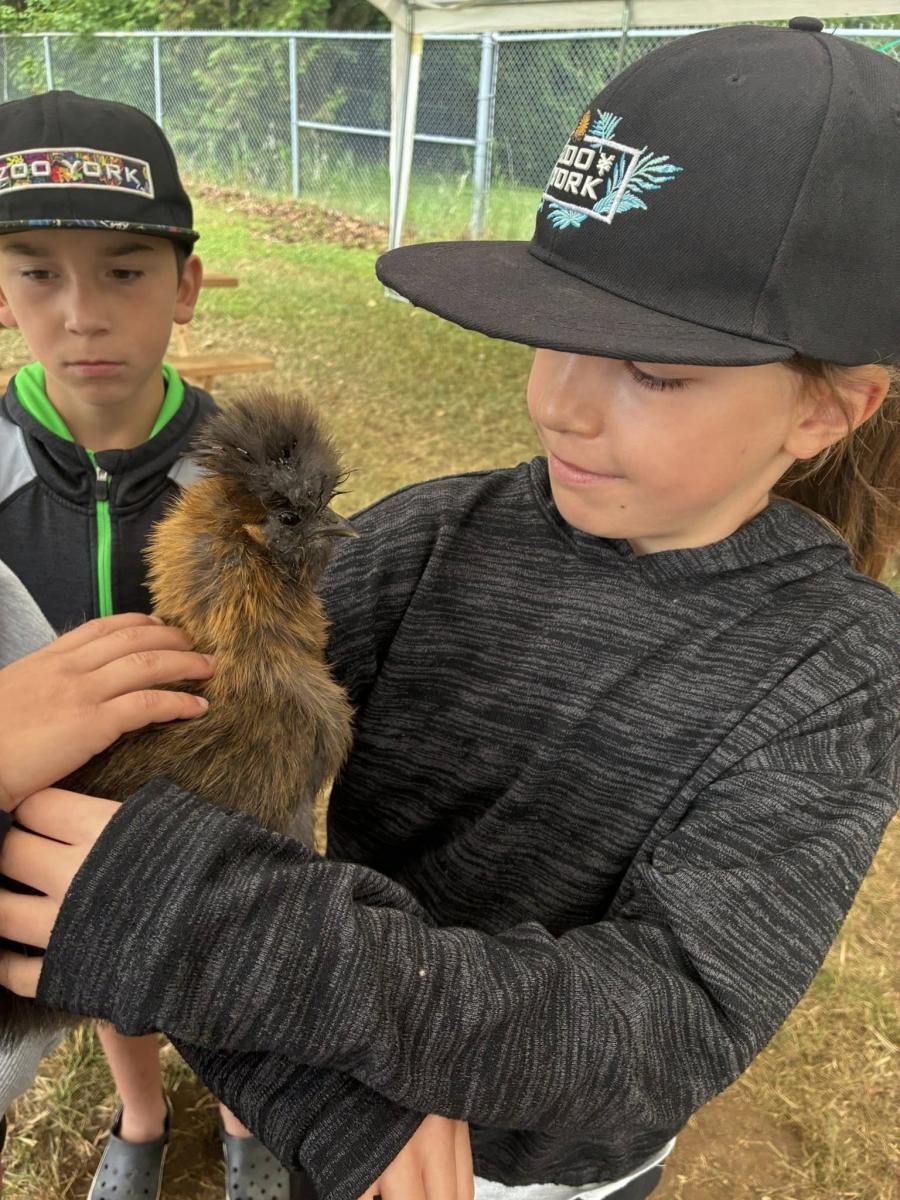 517028090 1307271754132926 9063376445519041606 n