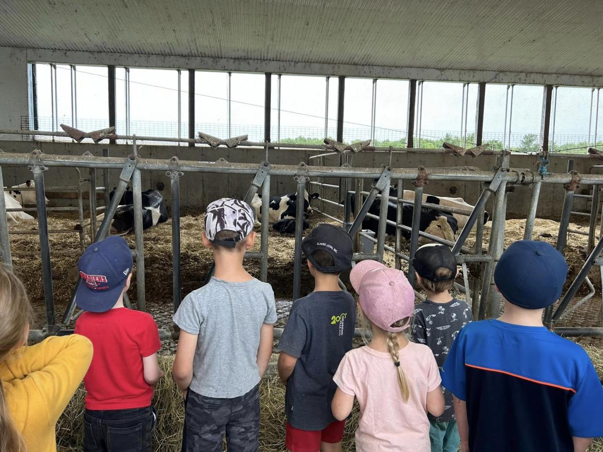 365717107_7149563215070516_2053311595599992411_n